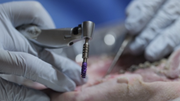 Dr. Kris Chmielewski Workshop